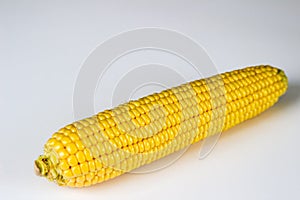 Fresh Corn