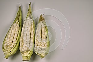 Fresh corn cob in a container on a white background