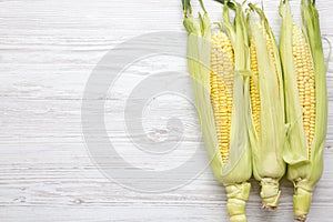 Fresh corn on the cob with green husks, top view. From above.