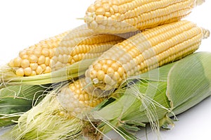 Fresh corn cob