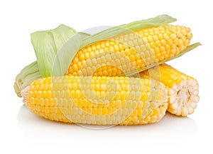 Fresh corn cob  on white background