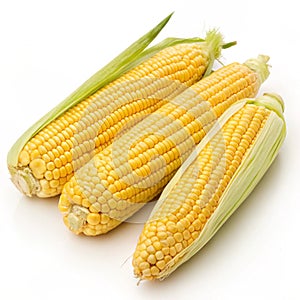 Corn isolated on white background