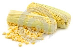 Fresh corn on the cob and some kernels