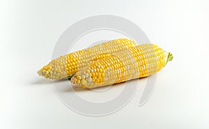 Fresh Corn on the Cob on White Background