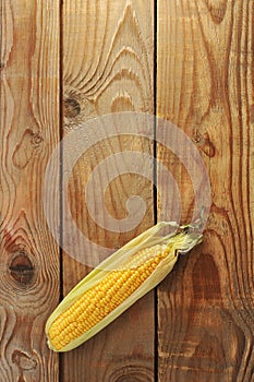Fresh corn on the cob - a whole cob with leaves