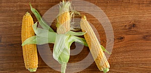 Fresh corn cob on wooden table. Wide photo .