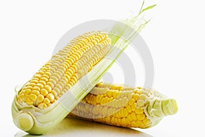 Fresh corn cobs