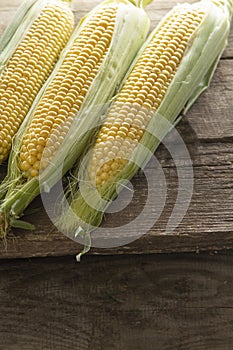Fresh Corn on Cobs on old wooden table  top view  closeup