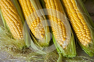 Fresh corn on cobs on rustic wooden table, close up. Sweet corn ears background