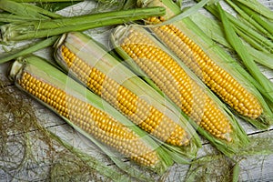 Fresh corn on cobs on rustic wooden table, close up. Sweet corn ears background