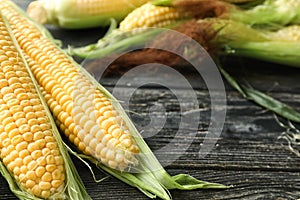 Fresh corn cobs on wooden background, closeup