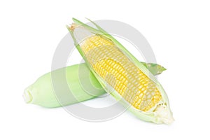 Fresh corn ears on white background
