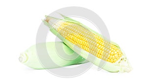 Fresh corn ears on white background.