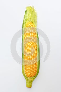 Fresh corn isolated on a light background. Corn heads