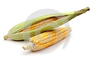 Fresh corn isolated on a white