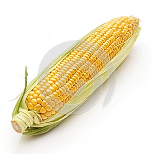 Corn isolated