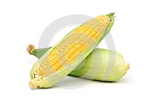 Fresh corn isolated on white background