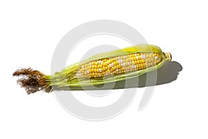 Fresh corn with leaves set isolated on white background
