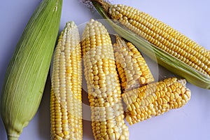 Fresh corn or maize isolated in white background
