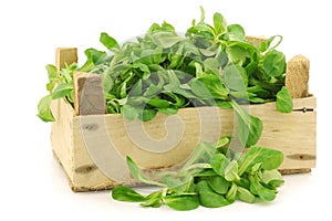 Fresh corn salad in a wooden crate