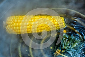 Fresh corn Thai Market closeup/Corn boiling in pot.