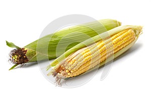 Fresh corn vegetable