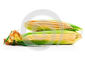 Fresh corn vegetable