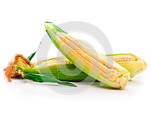 Fresh corn vegetable