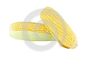 Fresh corn on white background