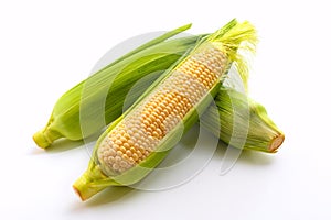 Fresh corn on a white background close-up. Organic products