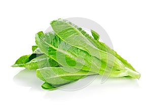 Fresh Cos Lettuce