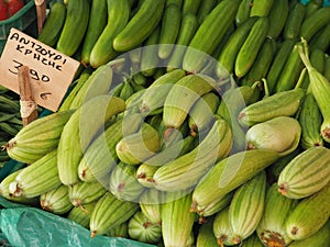 Fresh Courgettes Or Zucchini For Sale