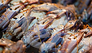 Fresh crab claws for sale to tourists in the street on Thailand