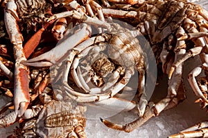 fresh crabs on fish market