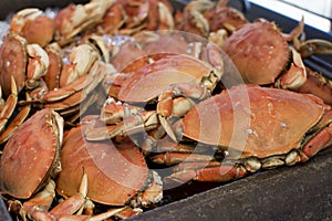 Fresh crabs on seafood market