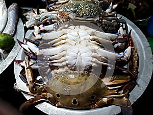 Fresh crabs for sell in fish market