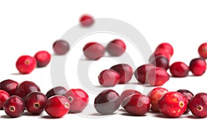 Fresh Cranberries