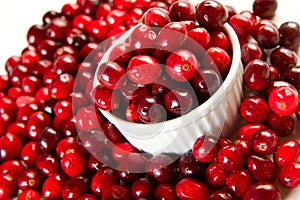 Fresh Cranberries