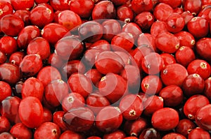 Fresh Cranberries