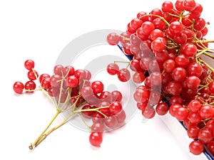 Fresh cranberries in dish