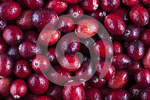 Fresh Cranberries