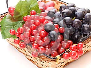 Fresh cranberries and grapes in basket