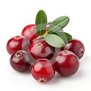 Cranberries isolated on white background photo