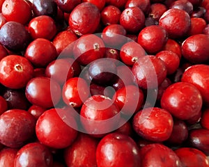 Fresh cranberries