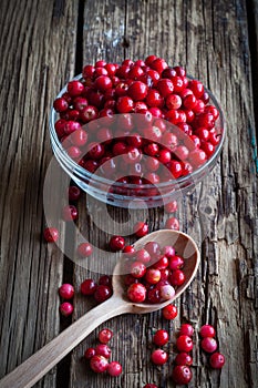 Fresh cranberry (cowberry) on wooden background