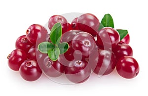 Fresh cranberry isolated on white background