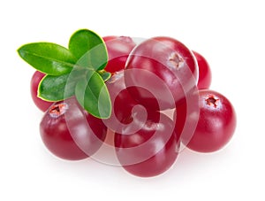 Fresh cranberry isolated on white background