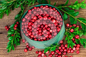 Cranberry or lingonberry in a green bowl photo