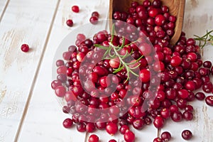 Fresh cranberry in a wooden bowl on rustic shabby table