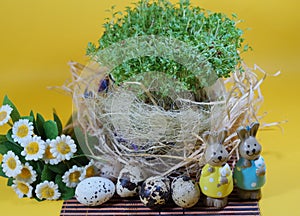 Fresh cress and rabbit and easter eggs